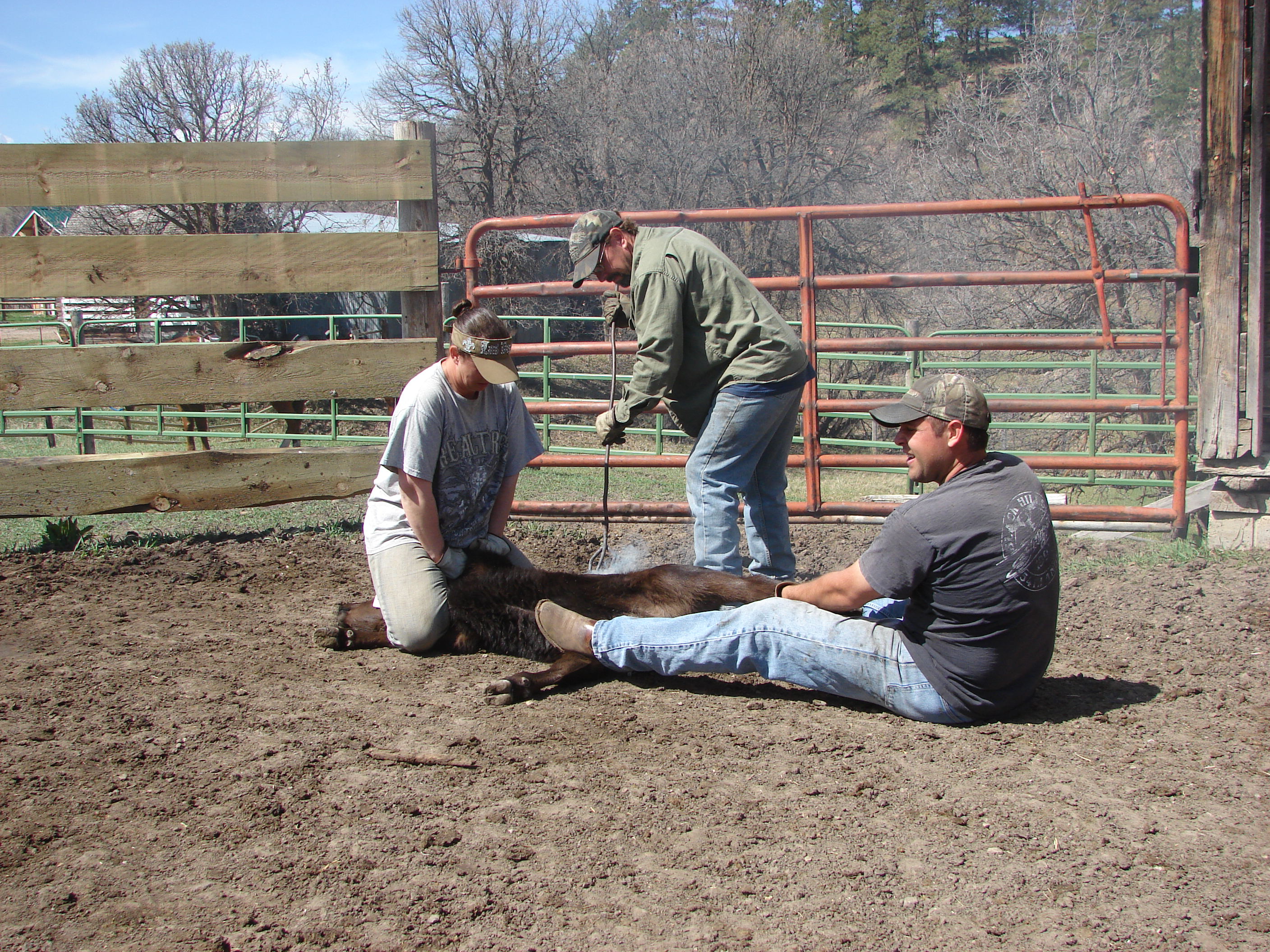 Diamond Bar 7 Guest Ranch - Discover North America