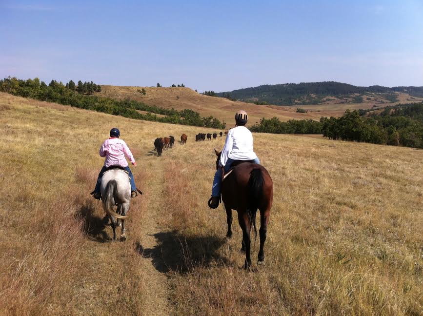 Diamond Bar 7 Guest Ranch - Discover North America