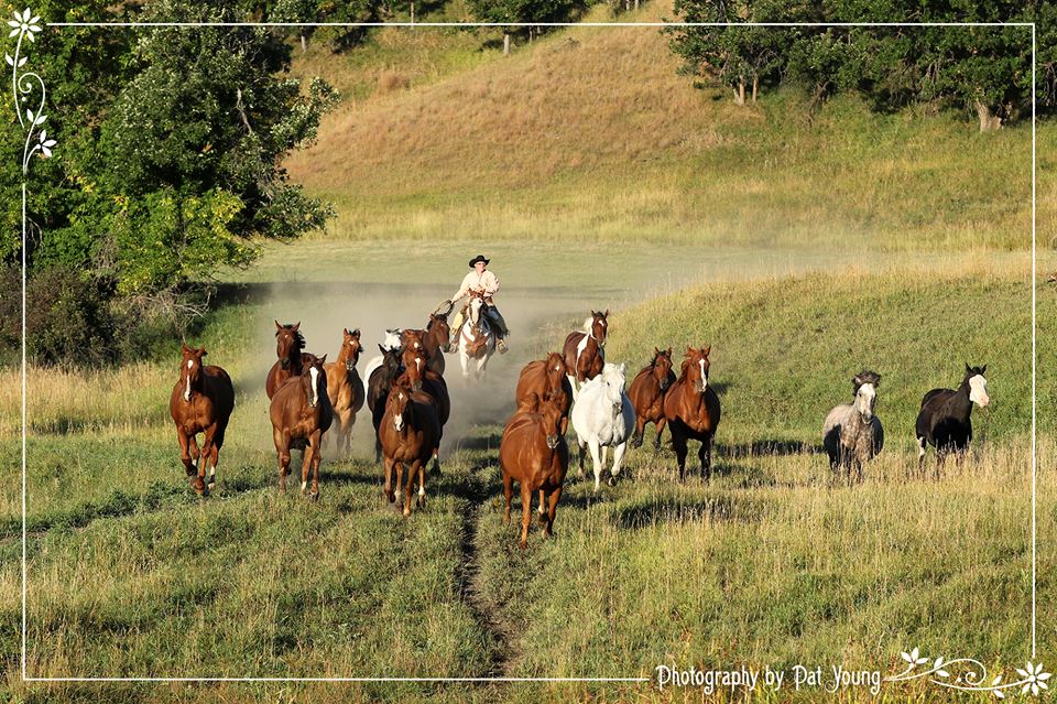 Diamond Bar 7 Guest Ranch - Discover North America